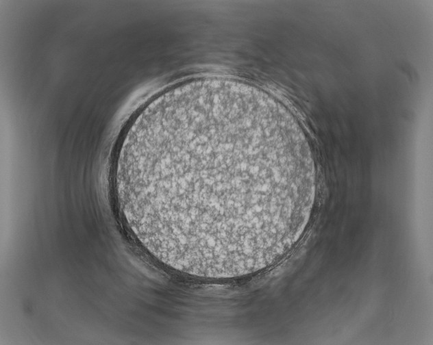 X0000111590151200908271016