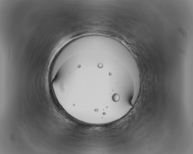 X0000111590152200908271016