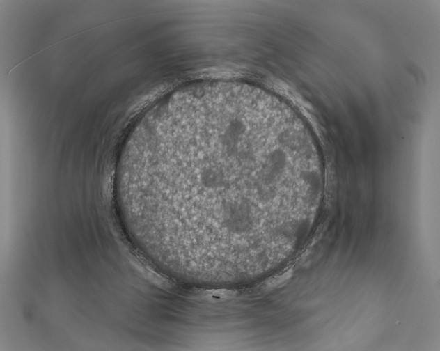 X0000111590153200908271016