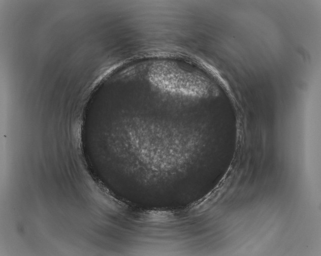 X0000111590154200908271016