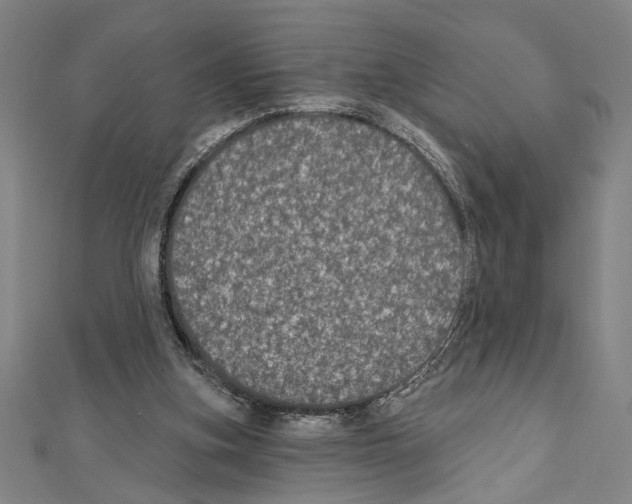 X0000111590155200908271016