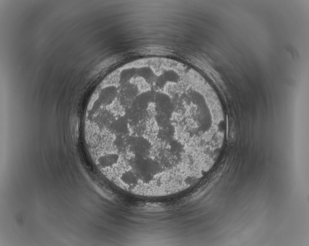 X0000111590157200908271016