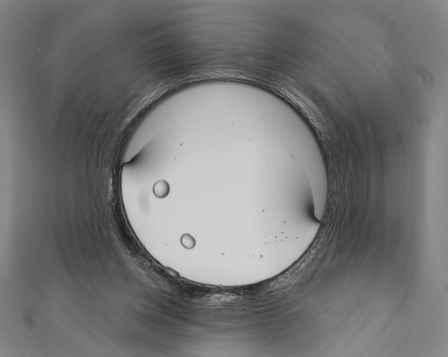 X0000111590158200908271016