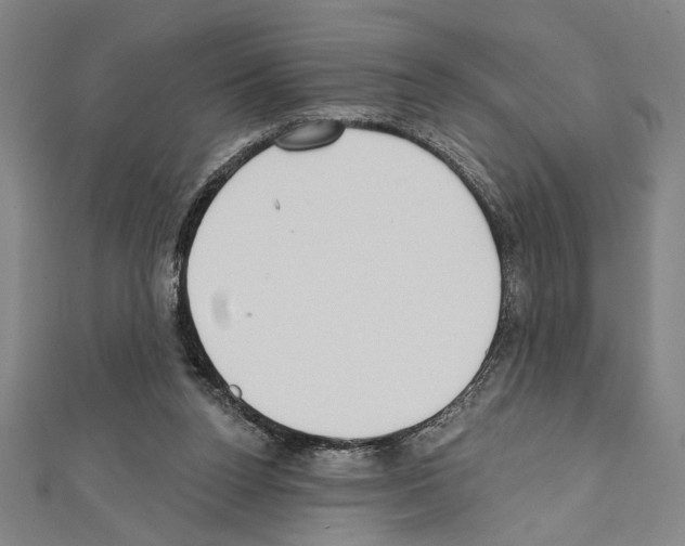 X0000111590160200908271016