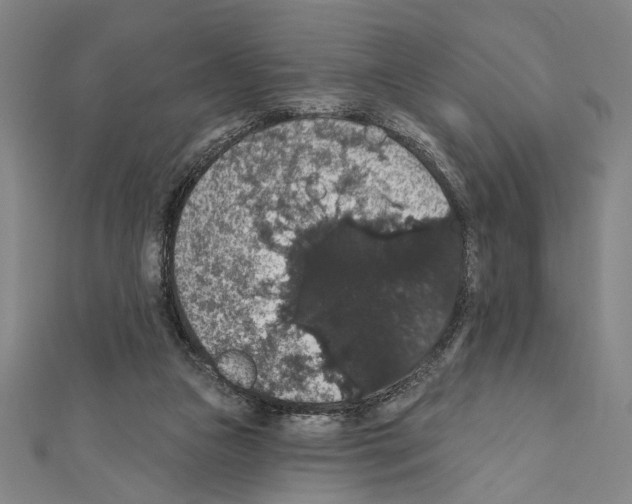 X0000111590161200908271016