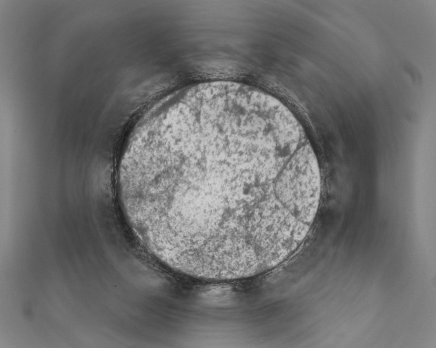 X0000111590162200908271016