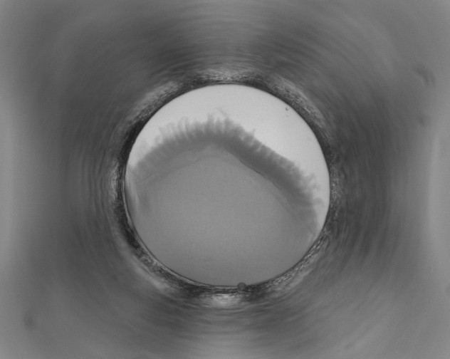 X0000111590163200908271016