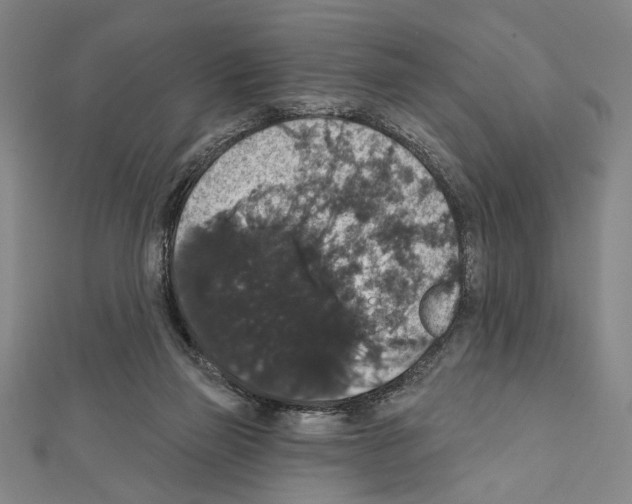X0000111590165200908271016