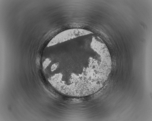 X0000111590166200908271016