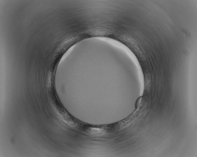 X0000111590167200908271017