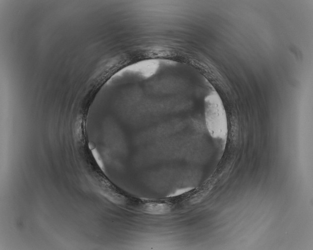 X0000111590169200908271017