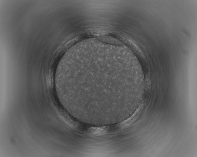 X0000111590170200908271017
