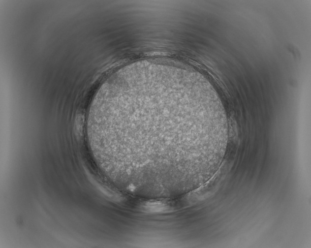 X0000111590171200908271017