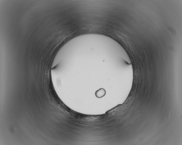 X0000111590172200908271017