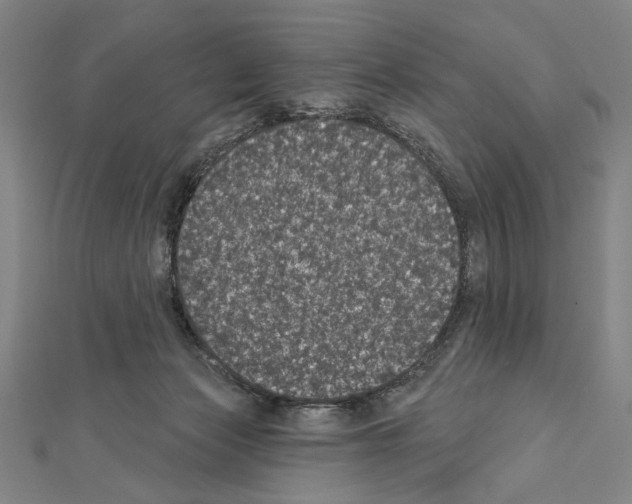 X0000111590173200908271017