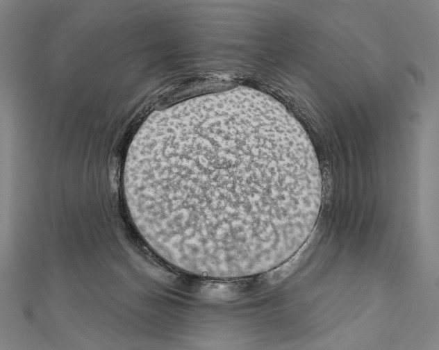 X0000111590174200908271017