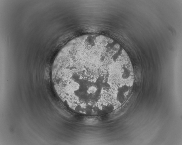 X0000111590175200908271017