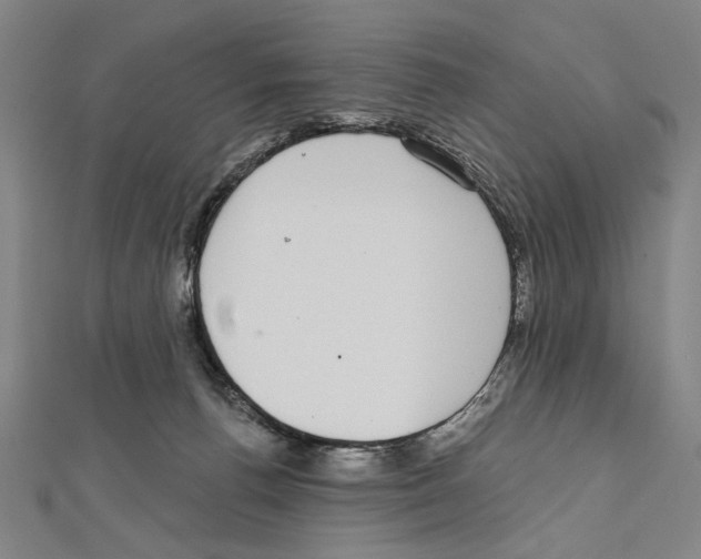 X0000111590176200908271017