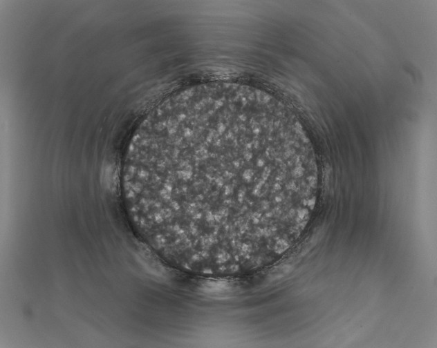X0000111590177200908271017
