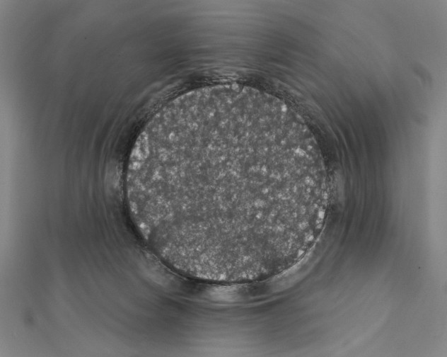 X0000111590178200908271017