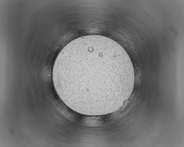 X0000111590179200908271017