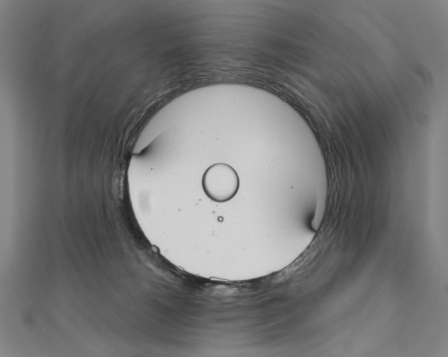 X0000111590180200908271017