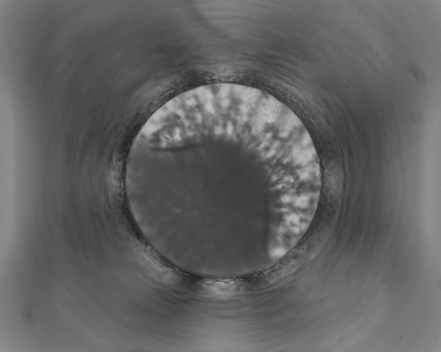 X0000111590181200908271017