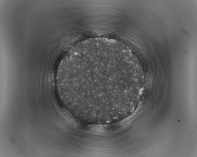 X0000111590182200908271017
