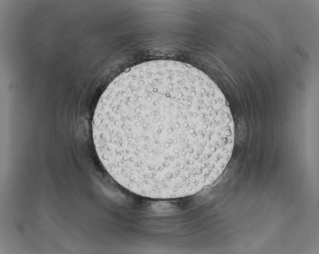 X0000111590183200908271017