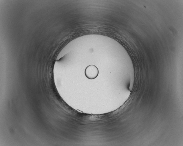 X0000111590184200908271017