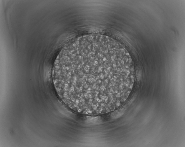 X0000111590185200908271017