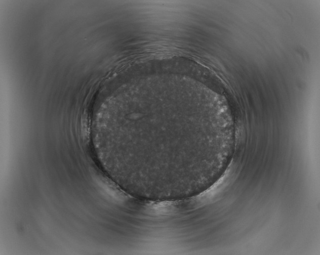X0000111590186200908271017