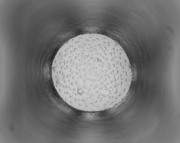 X0000111590187200908271017