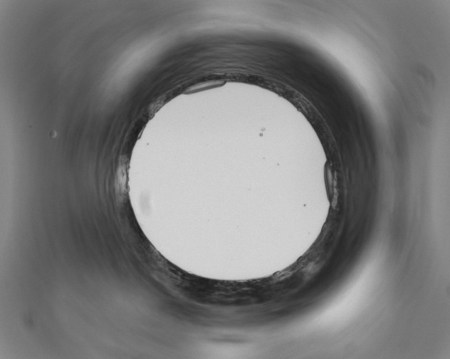 X0000111590190200908271017
