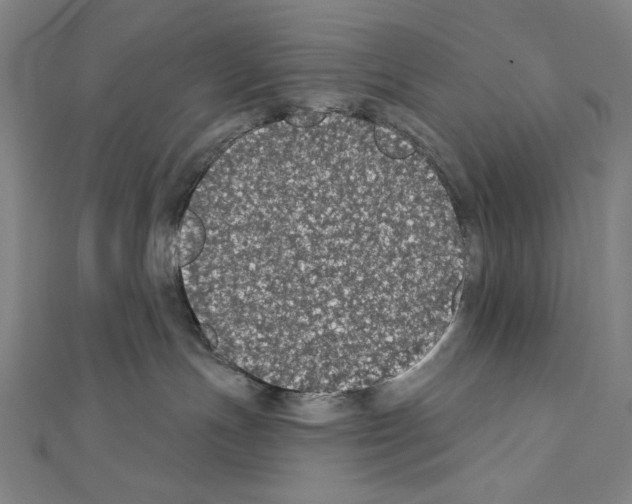 X0000111590191200908271017