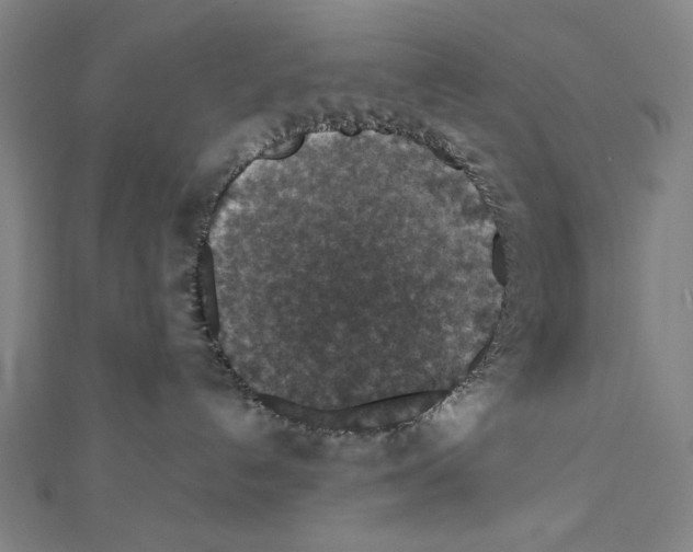 X0000111590192200908271017
