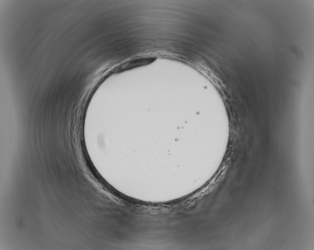 X0000111590193200908271016