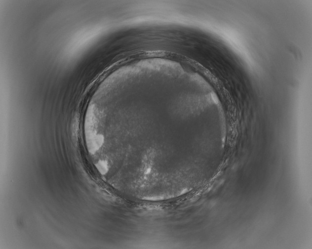 X0000111590194200908271016