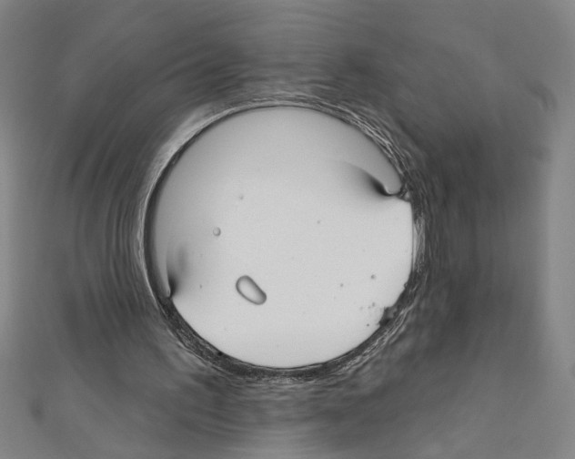 X0000111590195200908271016