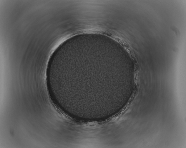 X0000111590196200908271016
