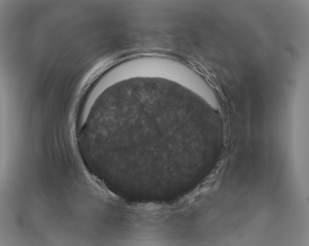 X0000111590197200908271016