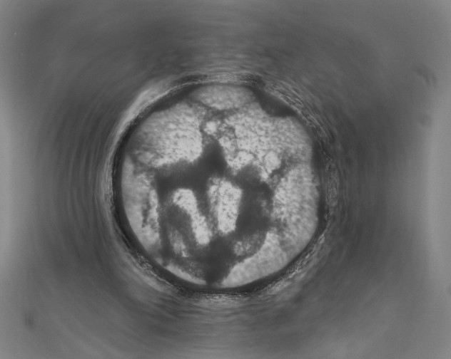 X0000111590198200908271016