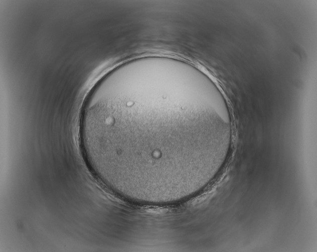X0000111590199200908271016
