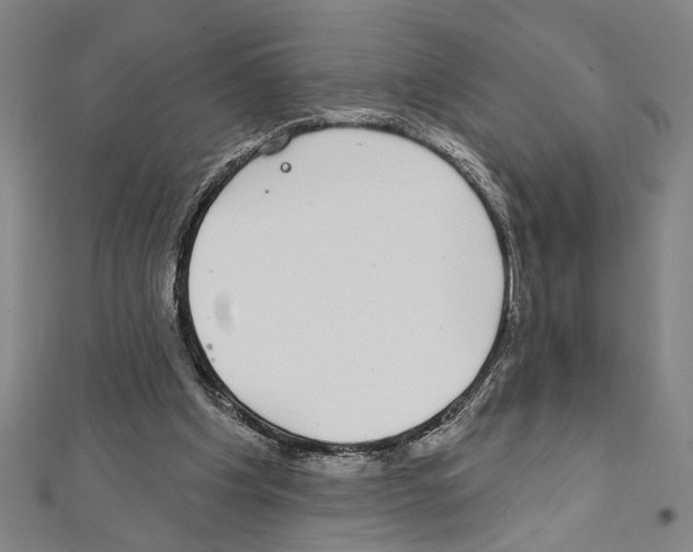 X0000111590201200908271016
