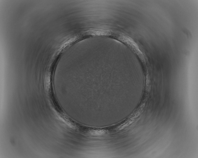 X0000111590202200908271016