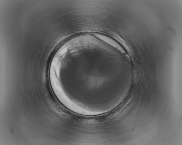 X0000111590203200908271016
