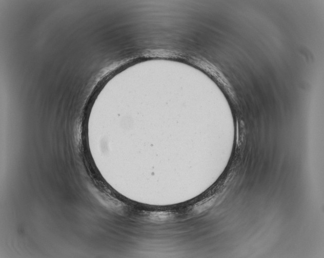 X0000111590204200908271016