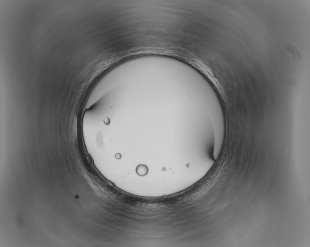 X0000111590205200908271016