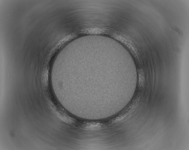 X0000111590206200908271016