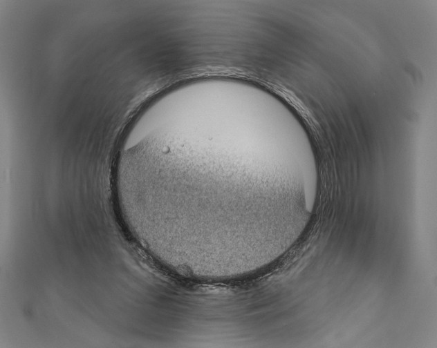 X0000111590207200908271016